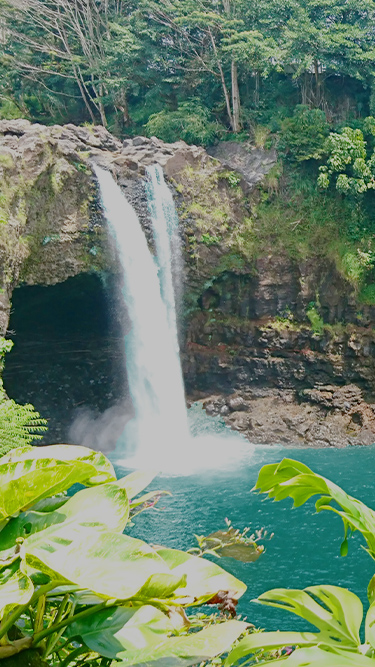 ハワイの滝