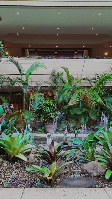 ハワイのホテル